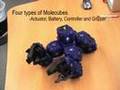 Molecubes - Open Source Modular Robotics [molecubes.org]