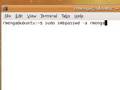 How-to: File sharing with Ubuntu using Samba