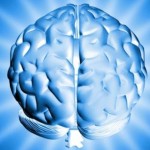 Brain Science For Marketing