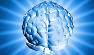 Brain Science For Marketing